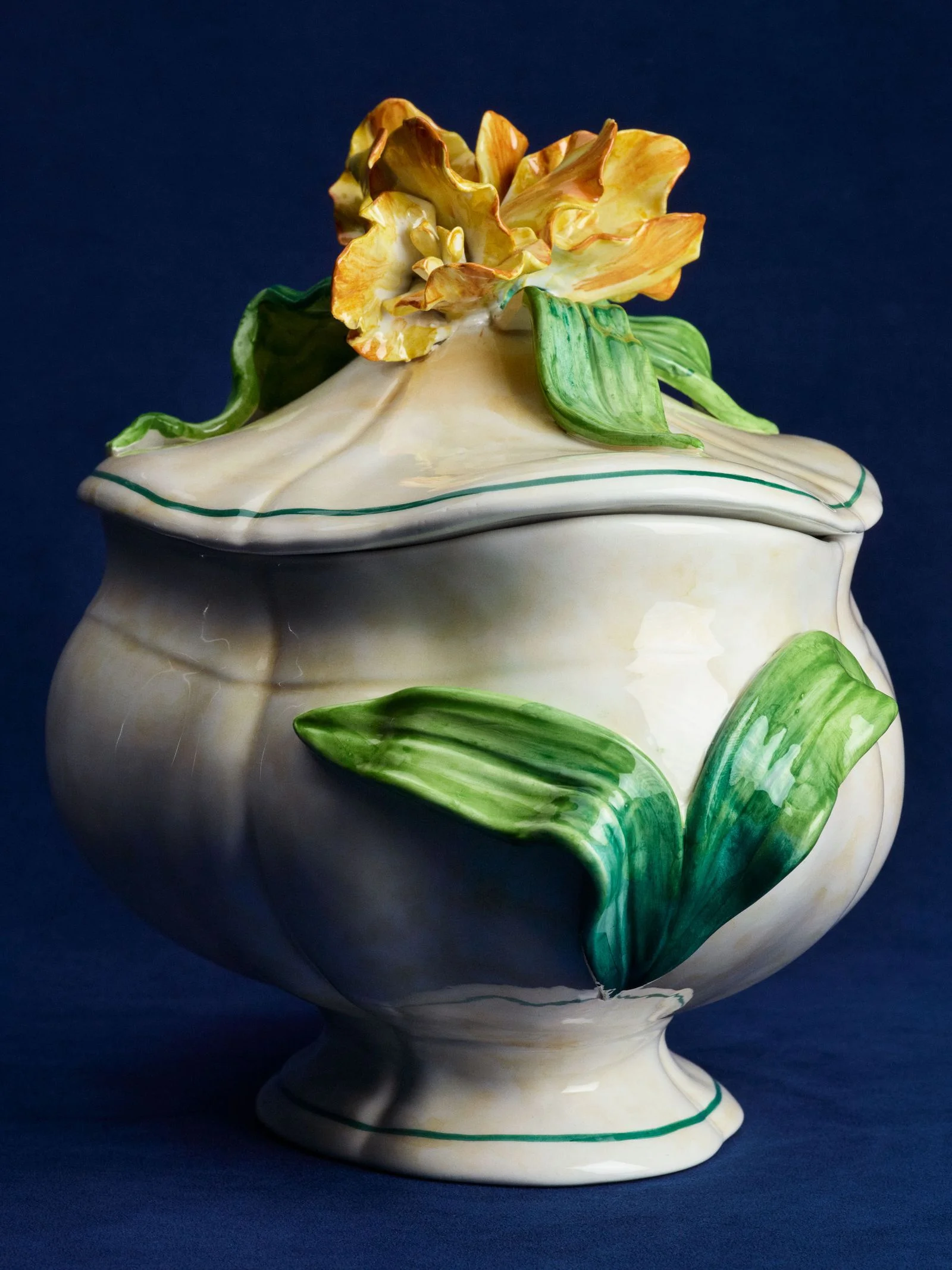 Image may contain Pottery Jar Art Porcelain Plant Potted Plant Vase Cookware Pot and Flower