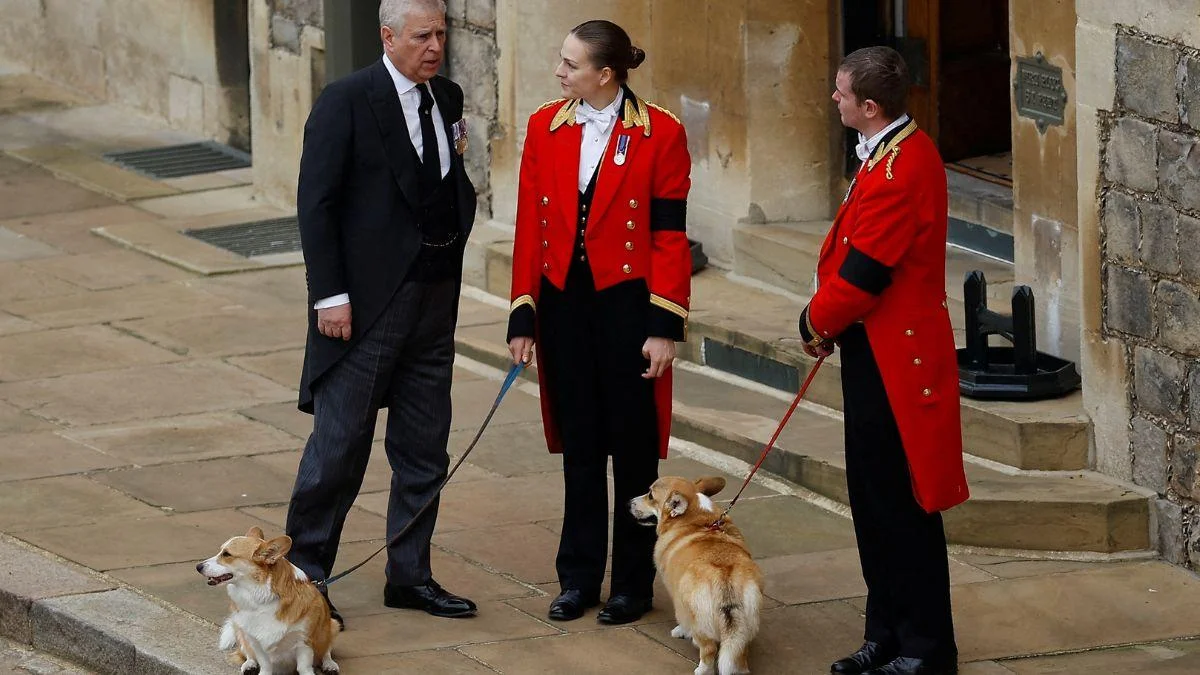 Former Prince Andrew's Unconventional Nightly Ritual Involving Queen Elizabeth's Corgis