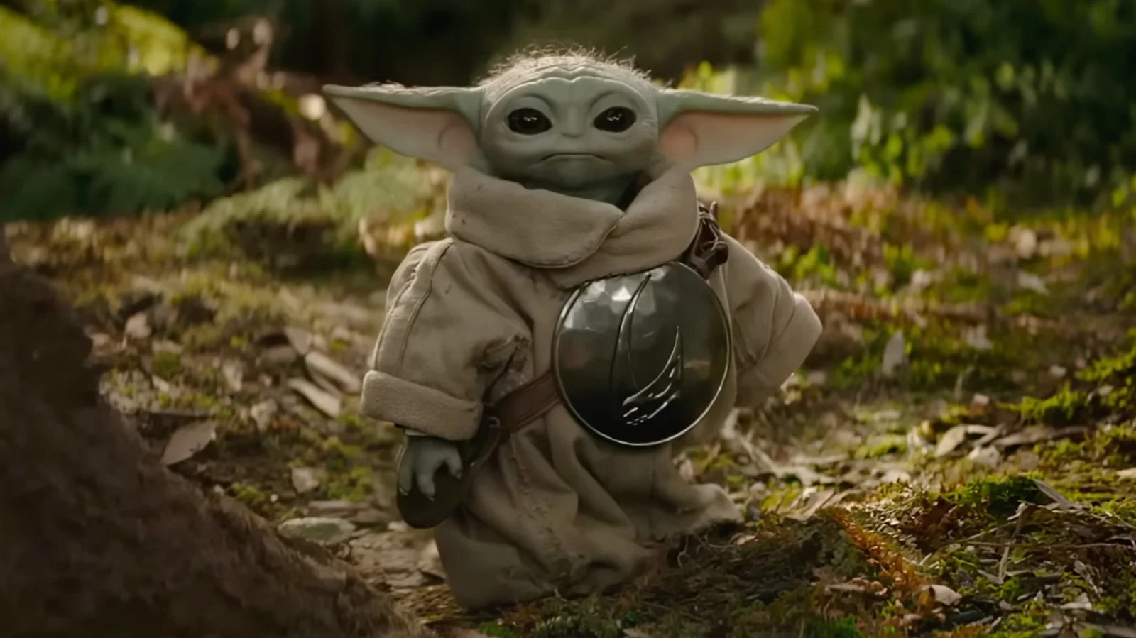 Exploring the Future of the Star Wars Timeline Through The Mandalorian and Grogu