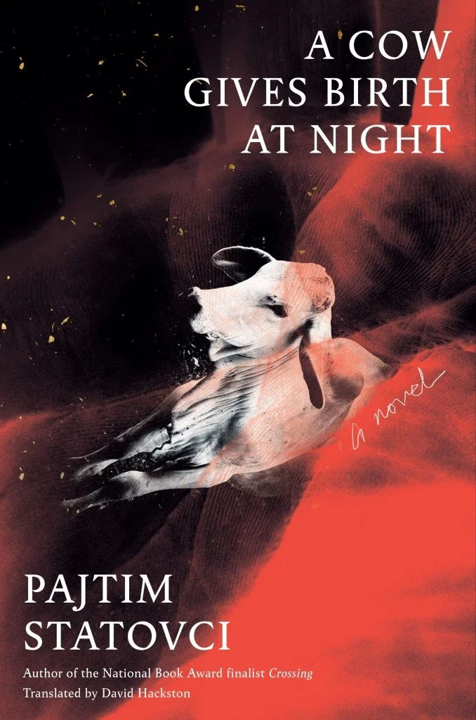 Cover Unveiling: “A Cow Gives Birth at Night” by Pajtim Statovci, Translated by David Hackston