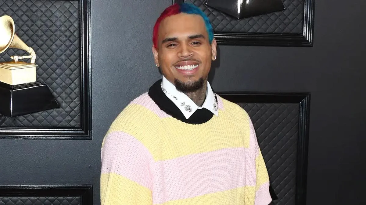 Image of Chris Brown's domestic violence history was ruled irrelevant to the dog mauling case.
