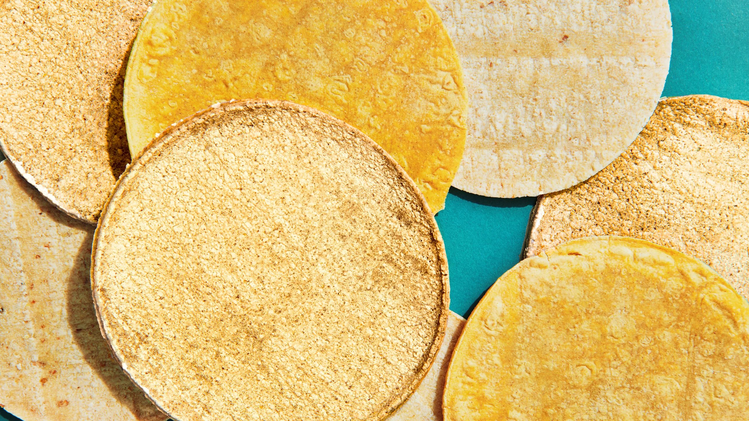 Assorted white and yellow corn tortillas arranged on a teal background.