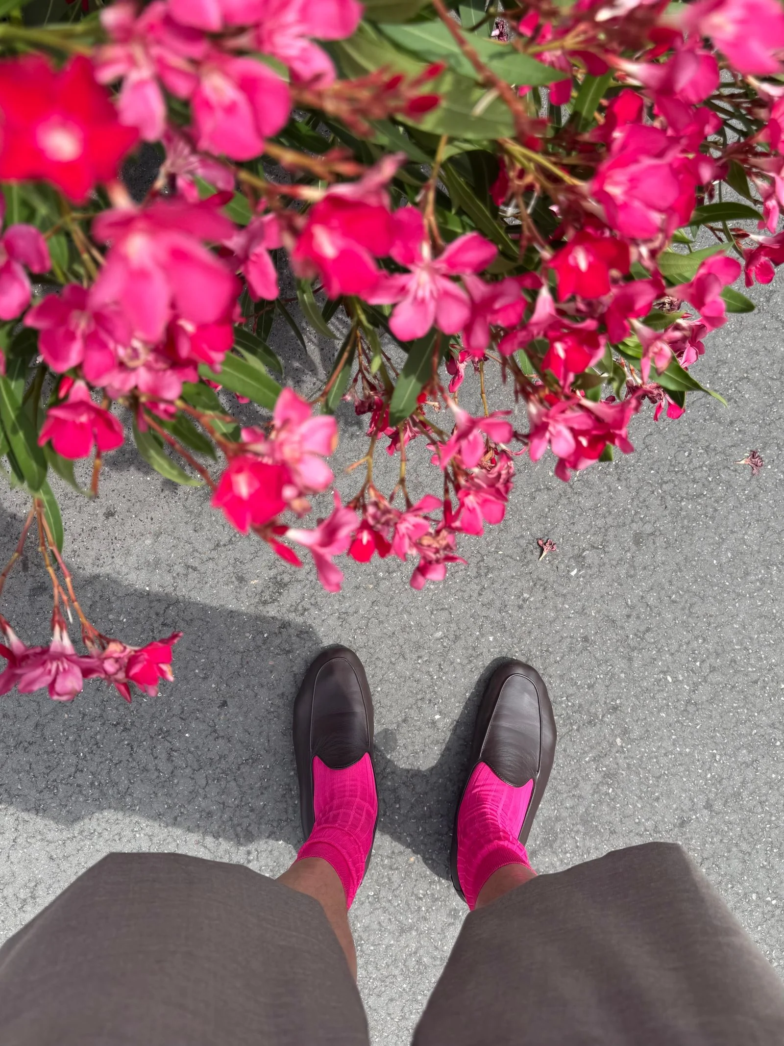 Image may contain Flower Petal Plant Clothing Footwear Shoe Person Potted Plant and Purple