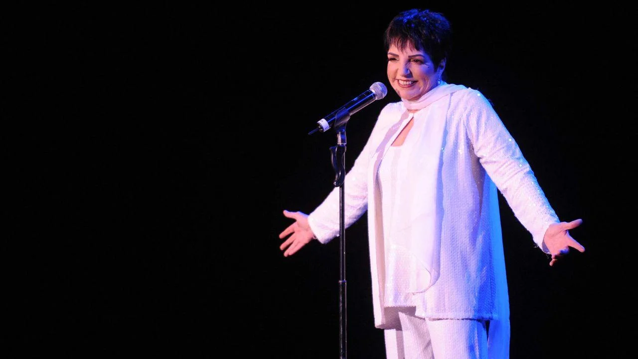 Liza Minnelli Reveals the Painful Moment She First Sought Rehab in 1984: 'I Self-Medicated Myself'