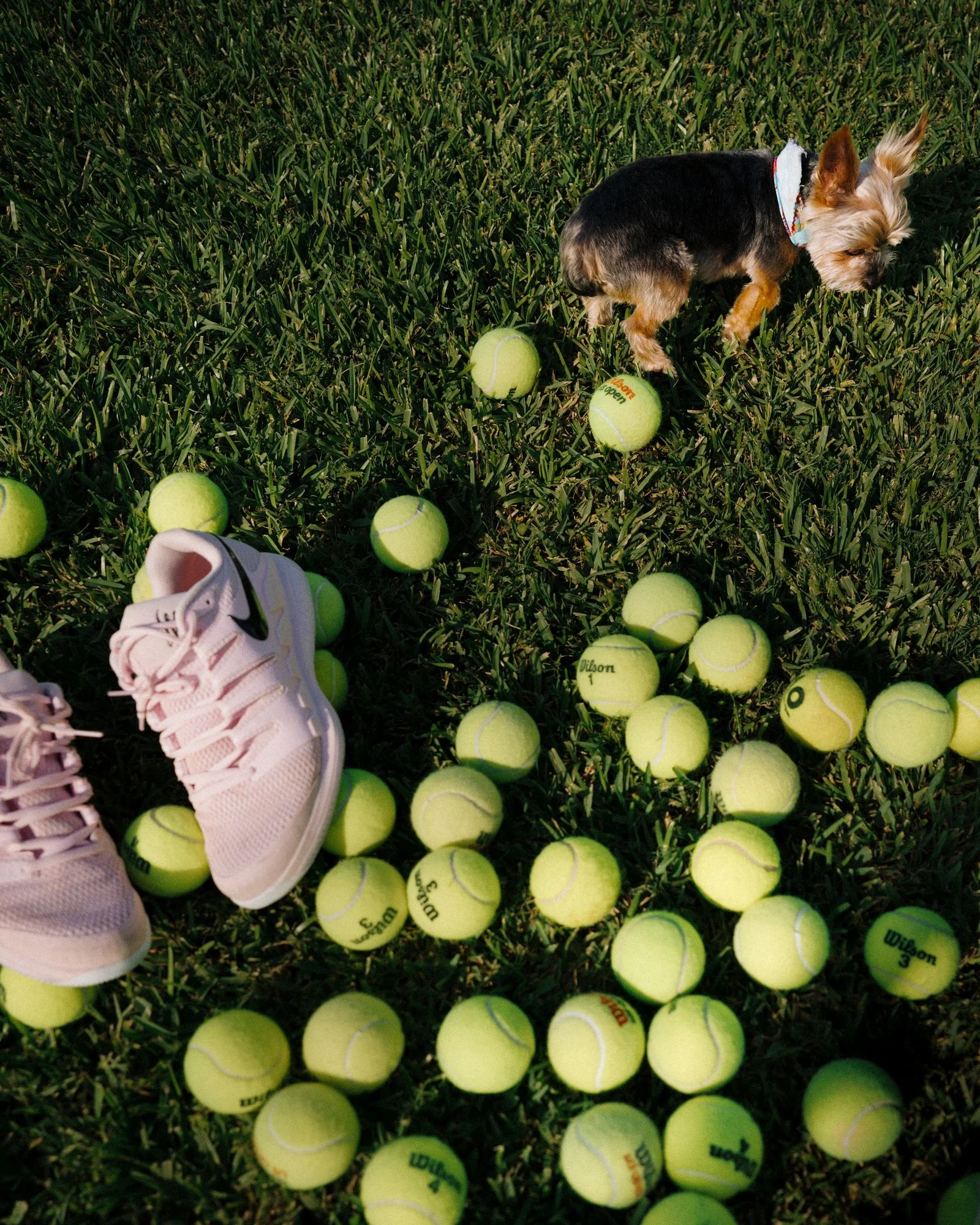 Image may contain Ball Sport Tennis Tennis Ball Clothing Footwear Shoe Sphere Football Soccer and Soccer Ball