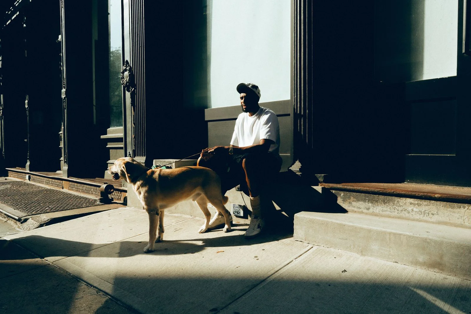 Image may contain Person Sitting Face Head Photography Portrait Adult Animal Canine Dog Mammal Pet and City