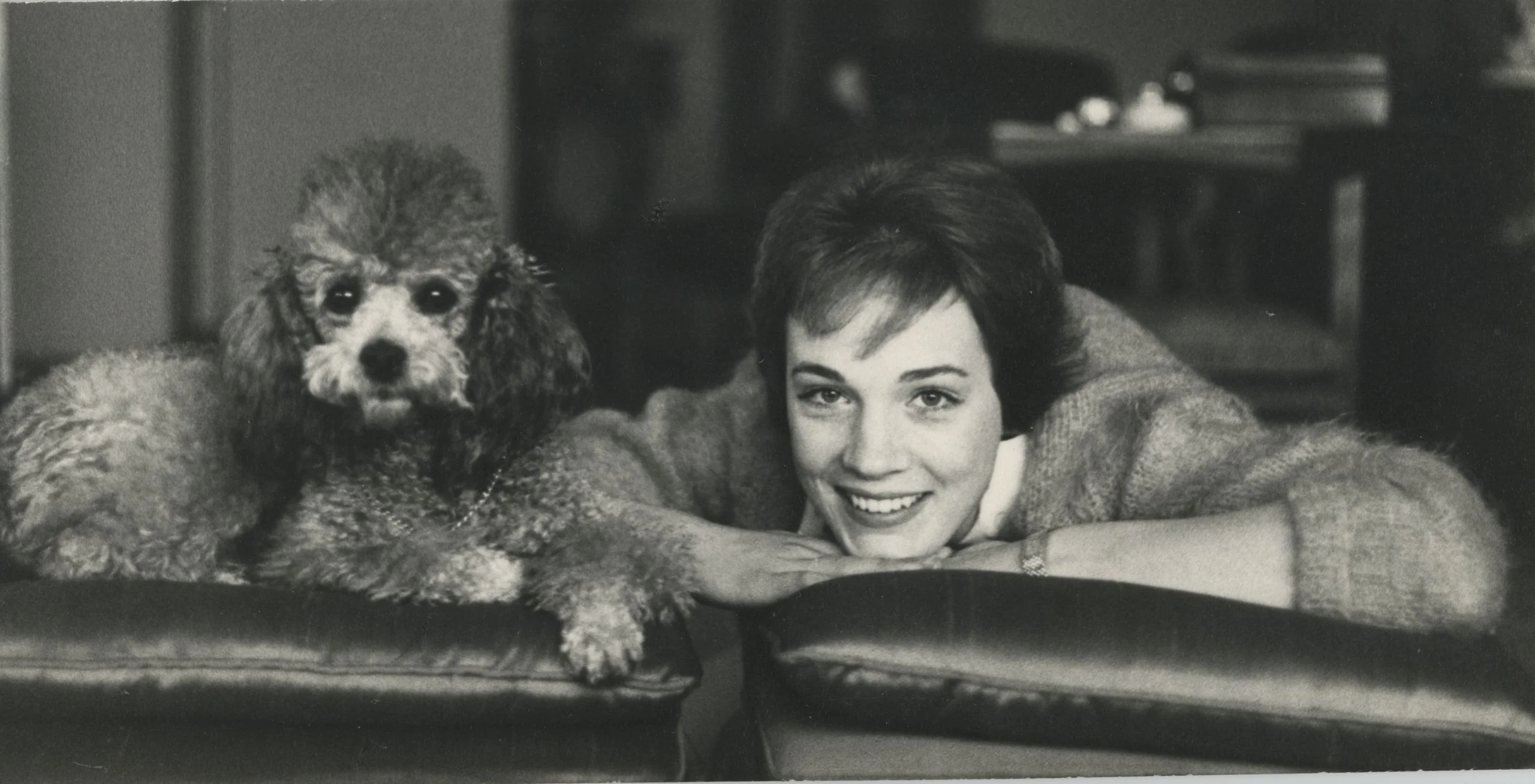Image may contain Julie Andrews Face Head Person Photography Portrait Happy Smile Animal Canine Dog and Mammal