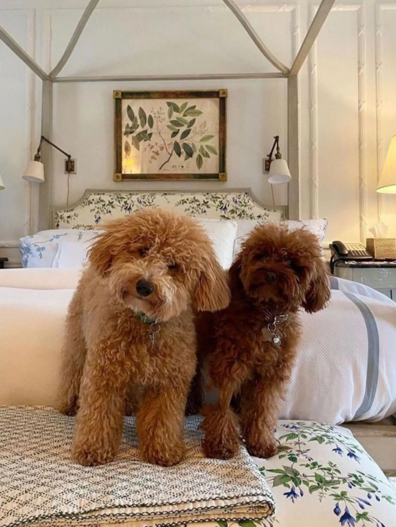Image may contain Furniture Bed Bedroom Indoors Room Animal Canine Dog Mammal Pet Art Painting and Canopy Bed