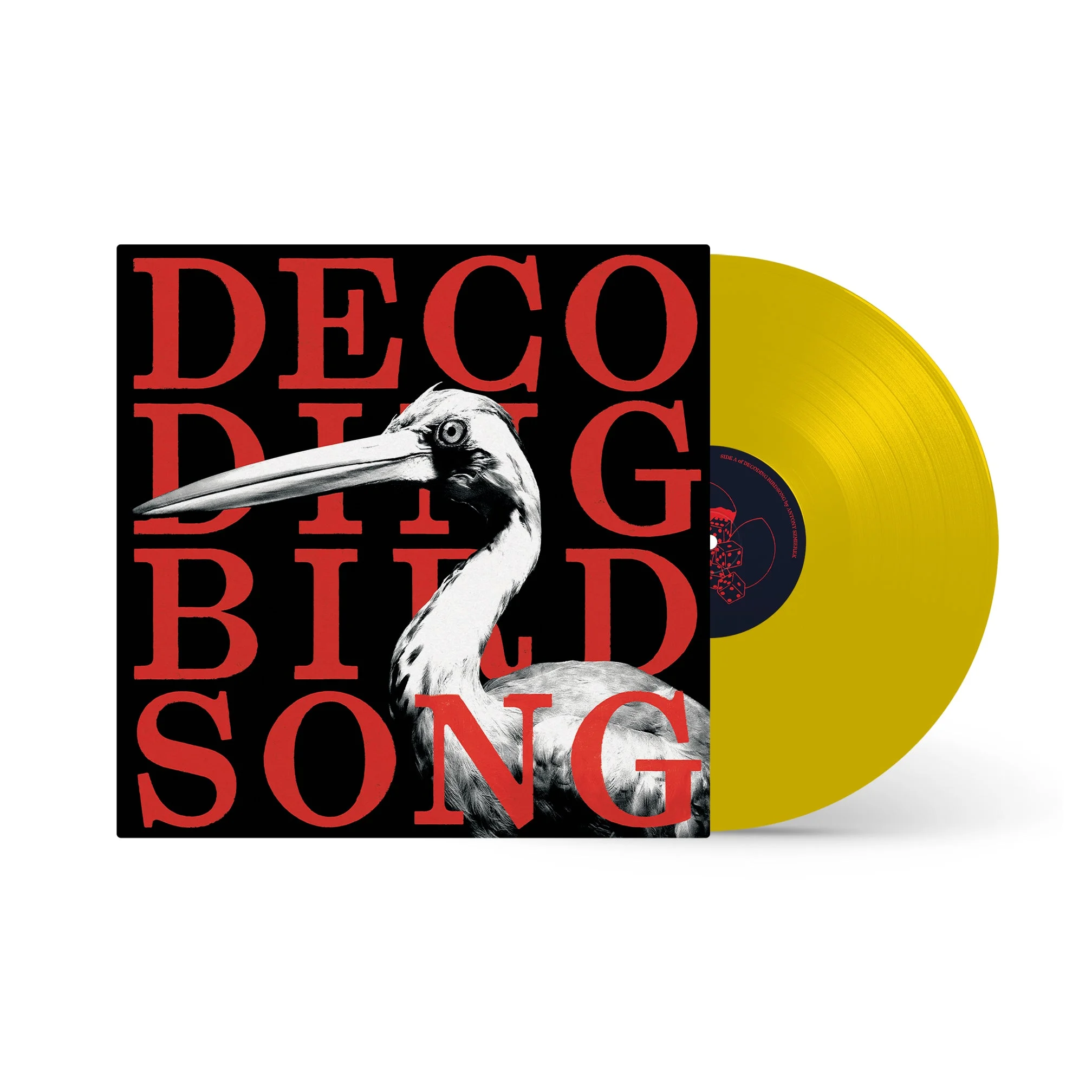 Buy Decoding Birdsong via Rough Trade
