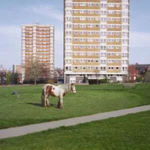 Westside Cowboy - It Goes On