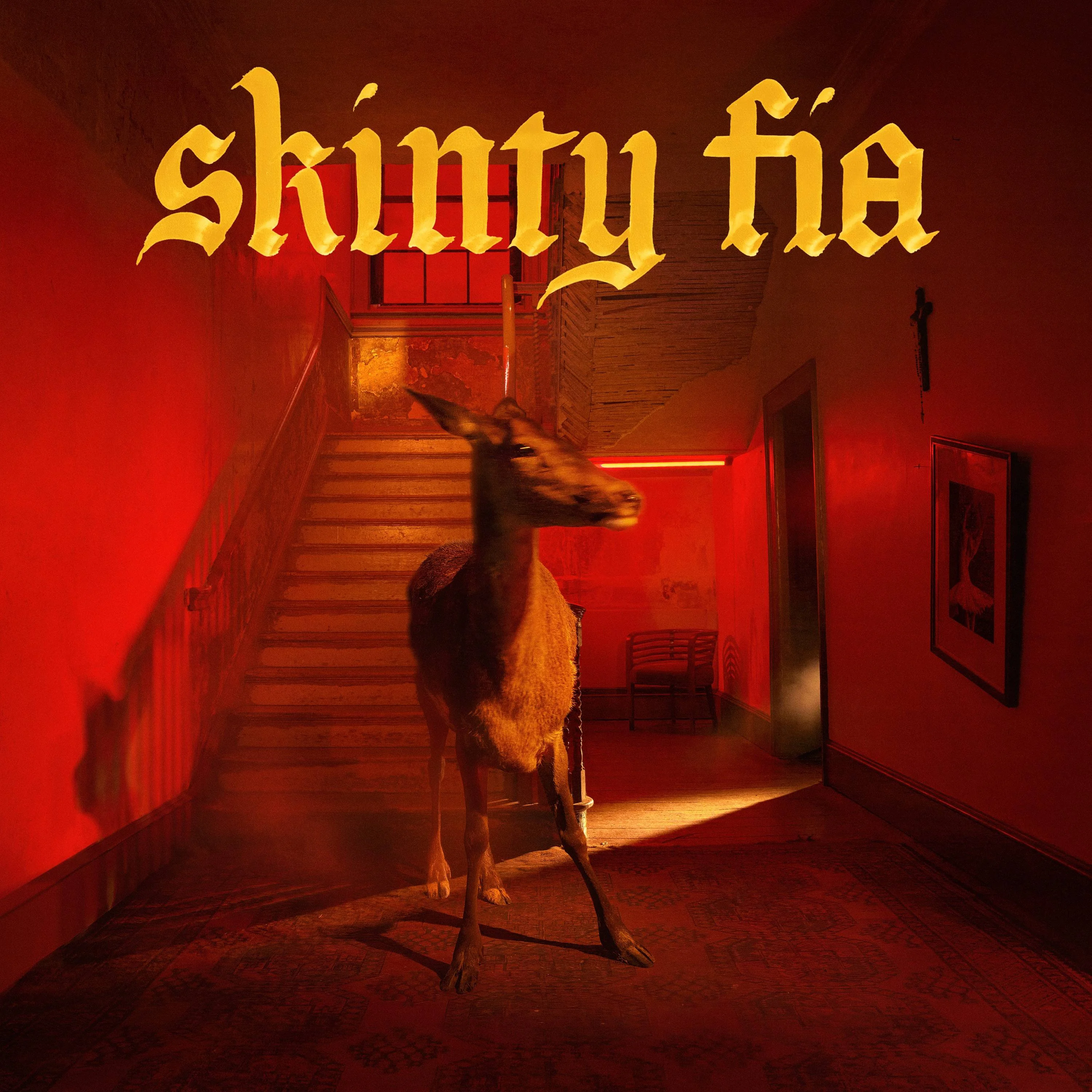 <strong>Fontaines D.C. - Skinty Fia</strong>