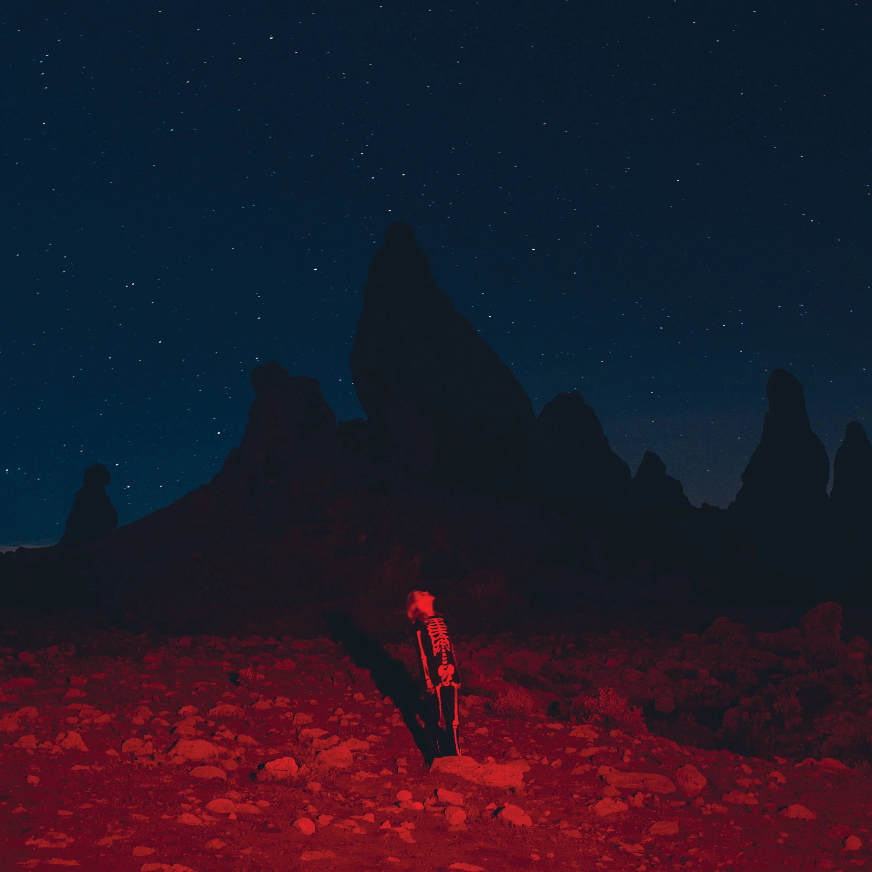 <strong>Phoebe Bridgers - Punisher</strong>