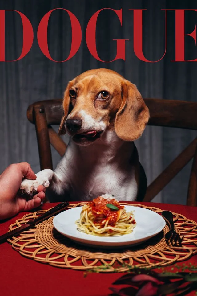 A Bad Bunny and a Beagle Walk Into a Restaurant…