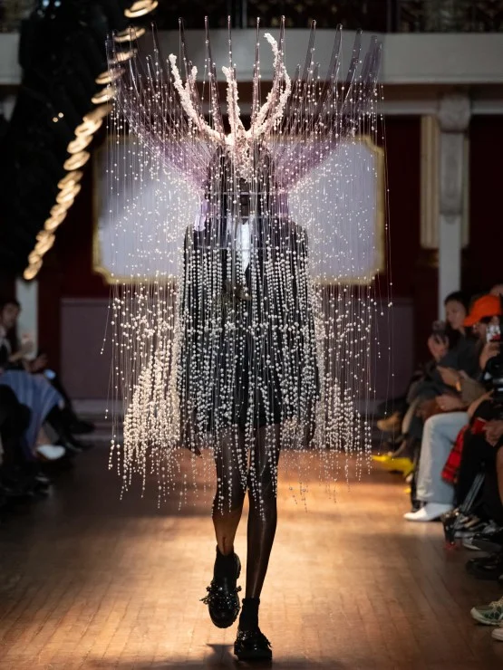 Noir Kei Ninomiya Spring 2027: Alice In Wilderness