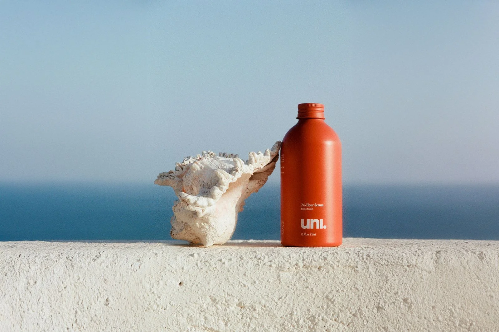 Image may contain Animal Invertebrate Sea Life Seashell Bottle Conch Beach Coast Nature Outdoors and Sea