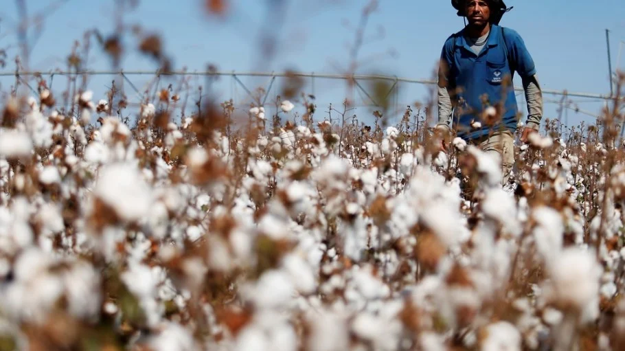 Cotton’s Next Traceability Tool Is an Old One: Knowing Your Farmer