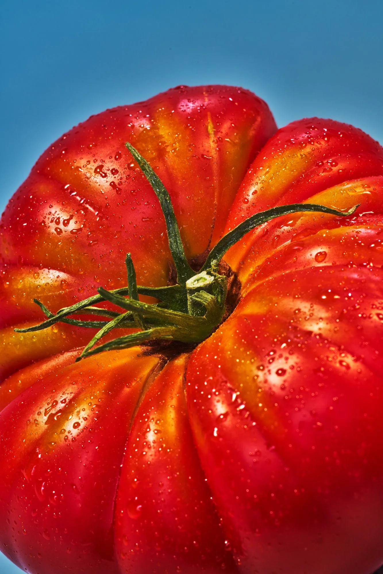 Understanding Heirloom Tomatoes: An Informative Overview