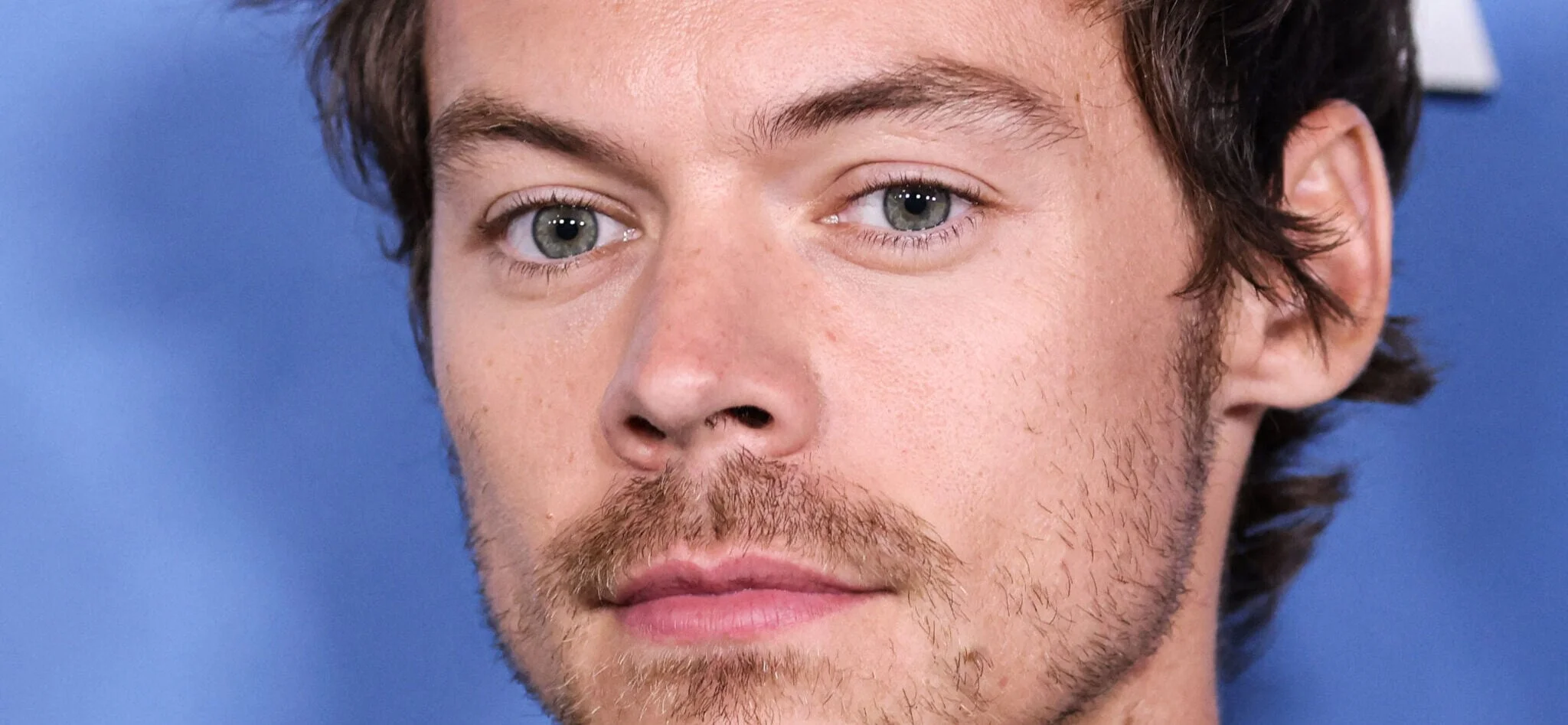 Harry Styles' Tour Representative Addresses VIP Ticket Concerns
